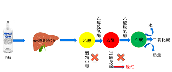 微信截图_20221107183518.png