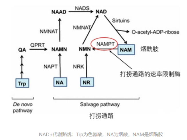 微信截图_20221130100638.png