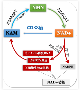 微信截图_20221208102312.png
