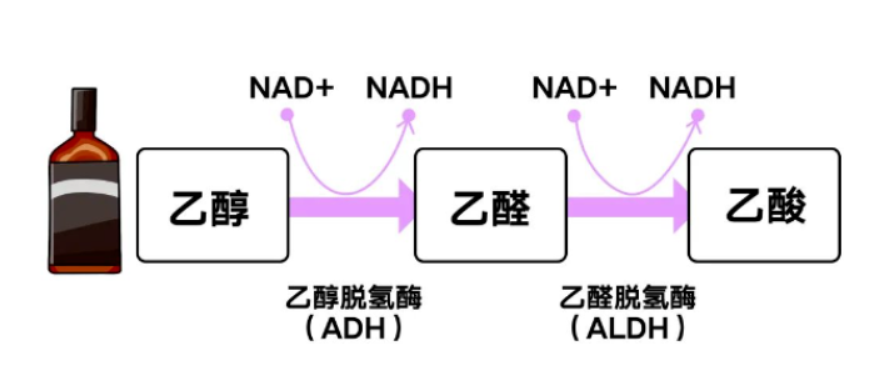 微信截图_20230131161726.png