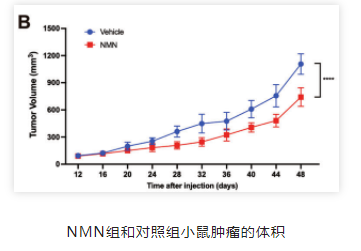 微信截图_20230310191301.png