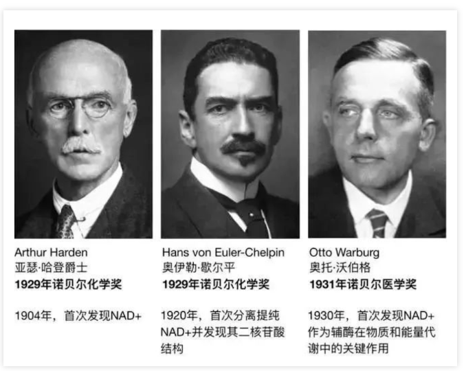 微信截图_20230428191646.png